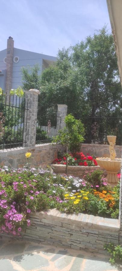 Shley House 1 Apartment Артемида Екстериор снимка