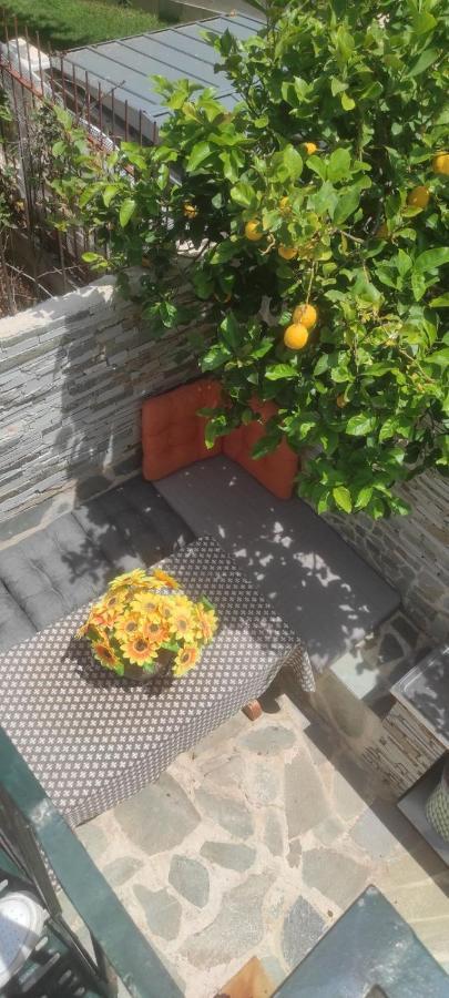 Shley House 1 Apartment Артемида Екстериор снимка